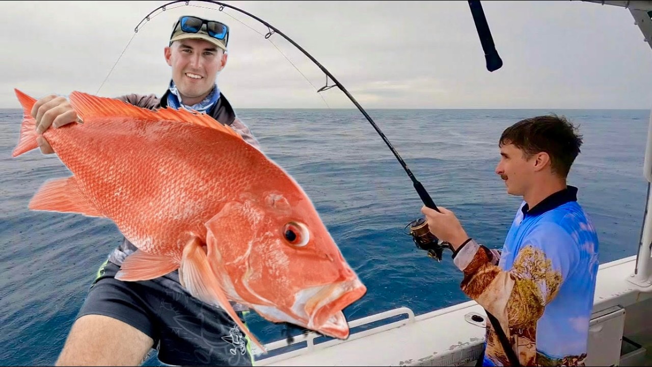 Trophy Nannygai Fishing On Deep Great Barrier Reef Isolated Rocks