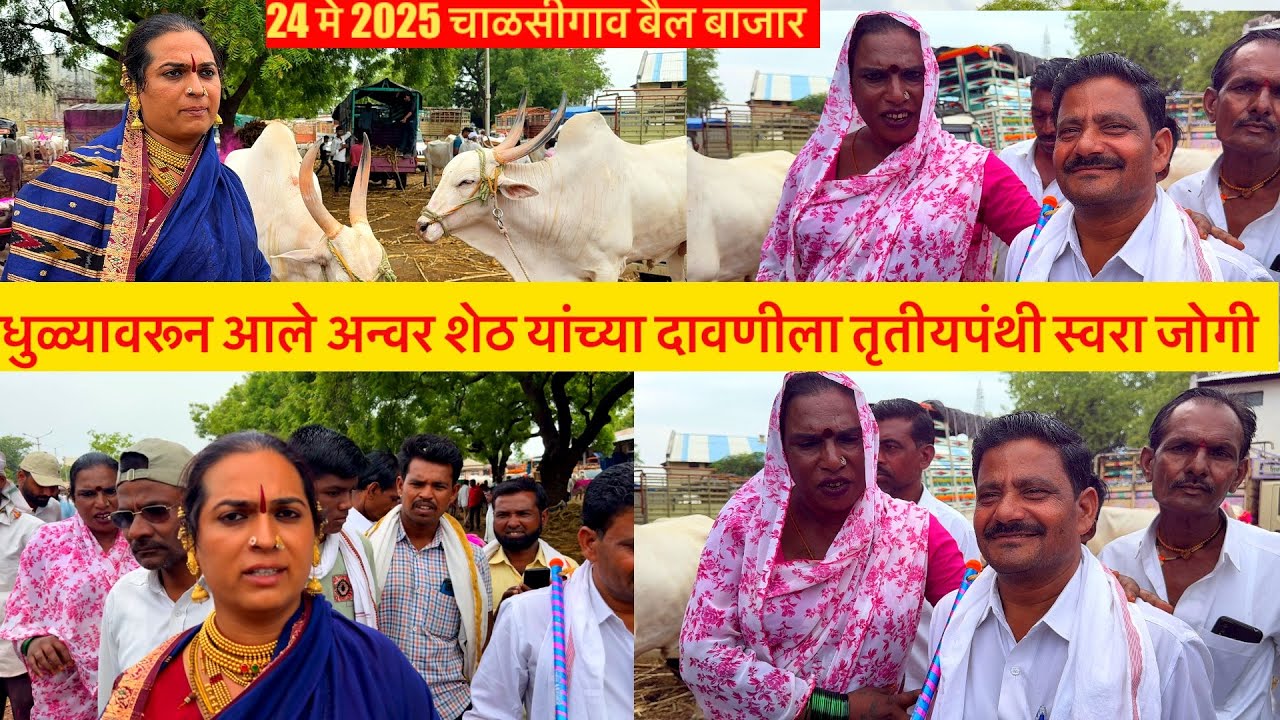 धुळ्यावरून आले अन्वर शेठ यांच्या दावणीला तृतीयपंथी स्वरा जोगी live 🔴 चाळीसगाव बैल बाजार 24 मे 2025