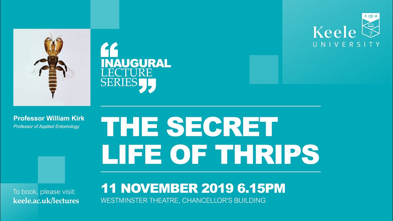 The Secret Life of Thrips