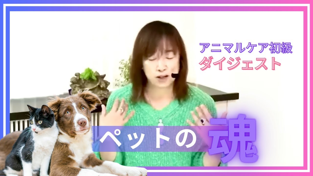 ペットの魂・後悔や罪悪感を“感謝に好転するには/並木さんの過去世はピンクのイルカ？/動物との会話・基本の「き」:並木良和さん「アニマル講座・初級」
