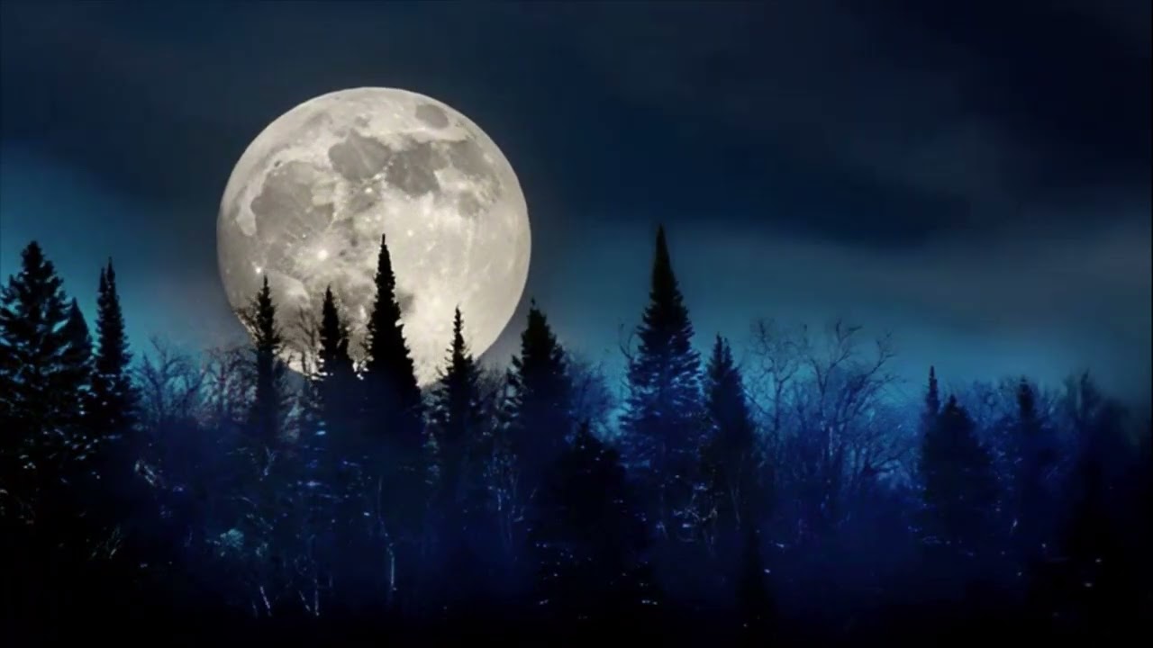 Warm Night