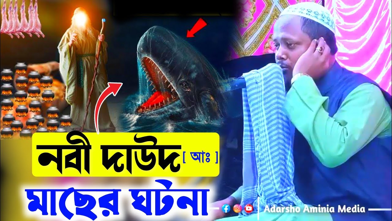 হযরত নবী দাউদ (আঃ) ও মাছের ঘটনা┇মাওঃ আব্দুল মুহিত সাহেব┇Abdul Mohid Saheb waz