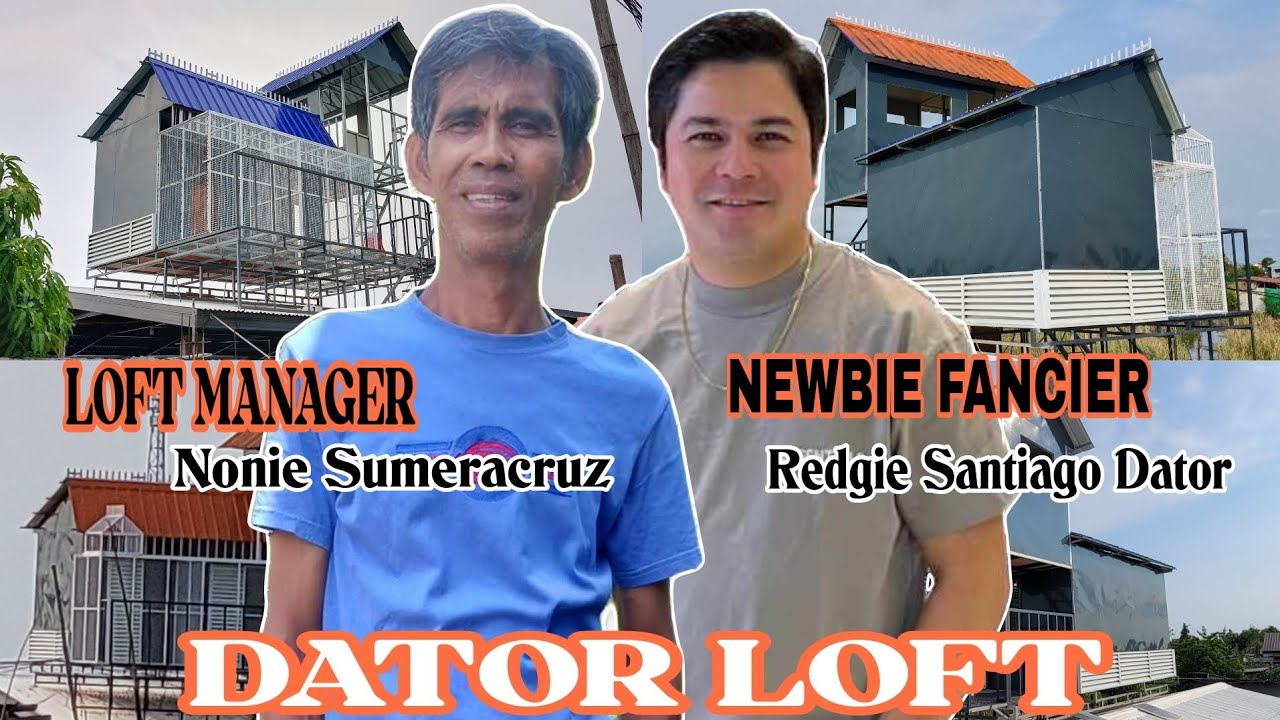 NEWBIE FANCIER NG MALOLOS BULACAN |  DATOR LOFT |  MADE BY MHARK AGUILUZ LOFT MAKER