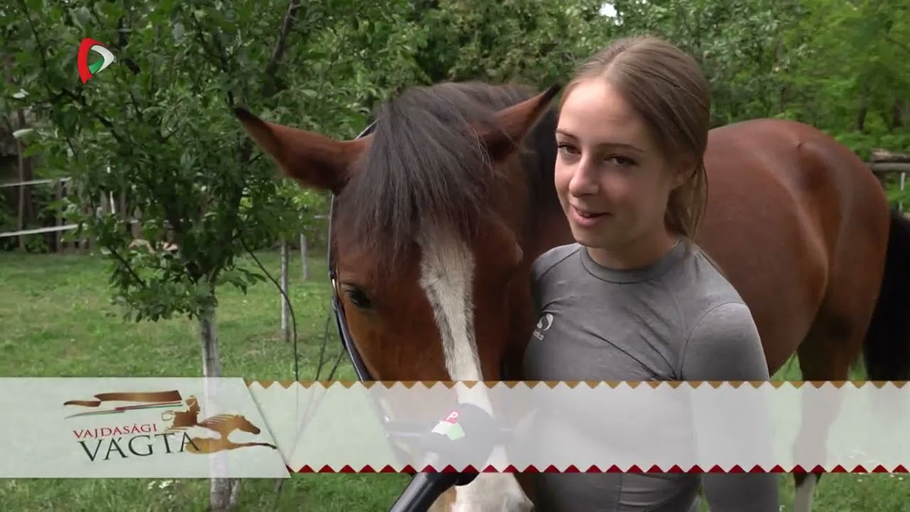 Vajdasági Vágta 2024 – Toldi Aida