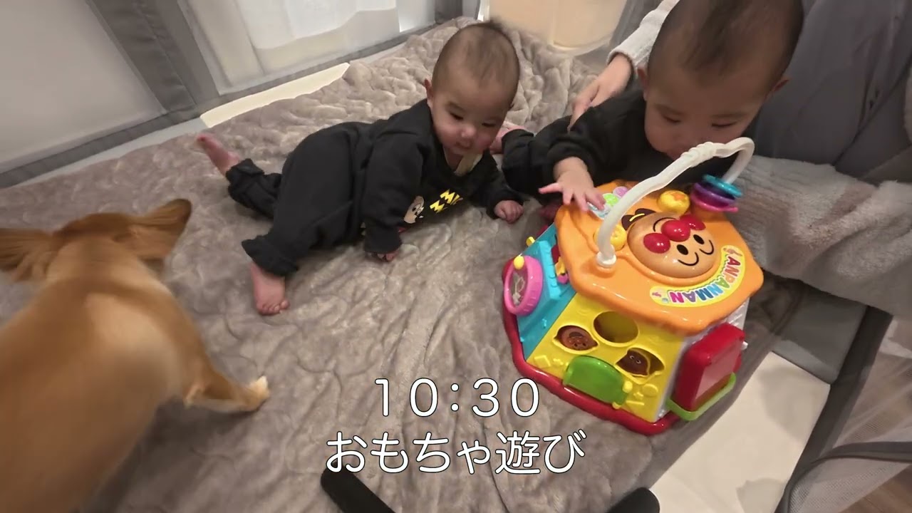 生後７ヶ月目前の双子の1日