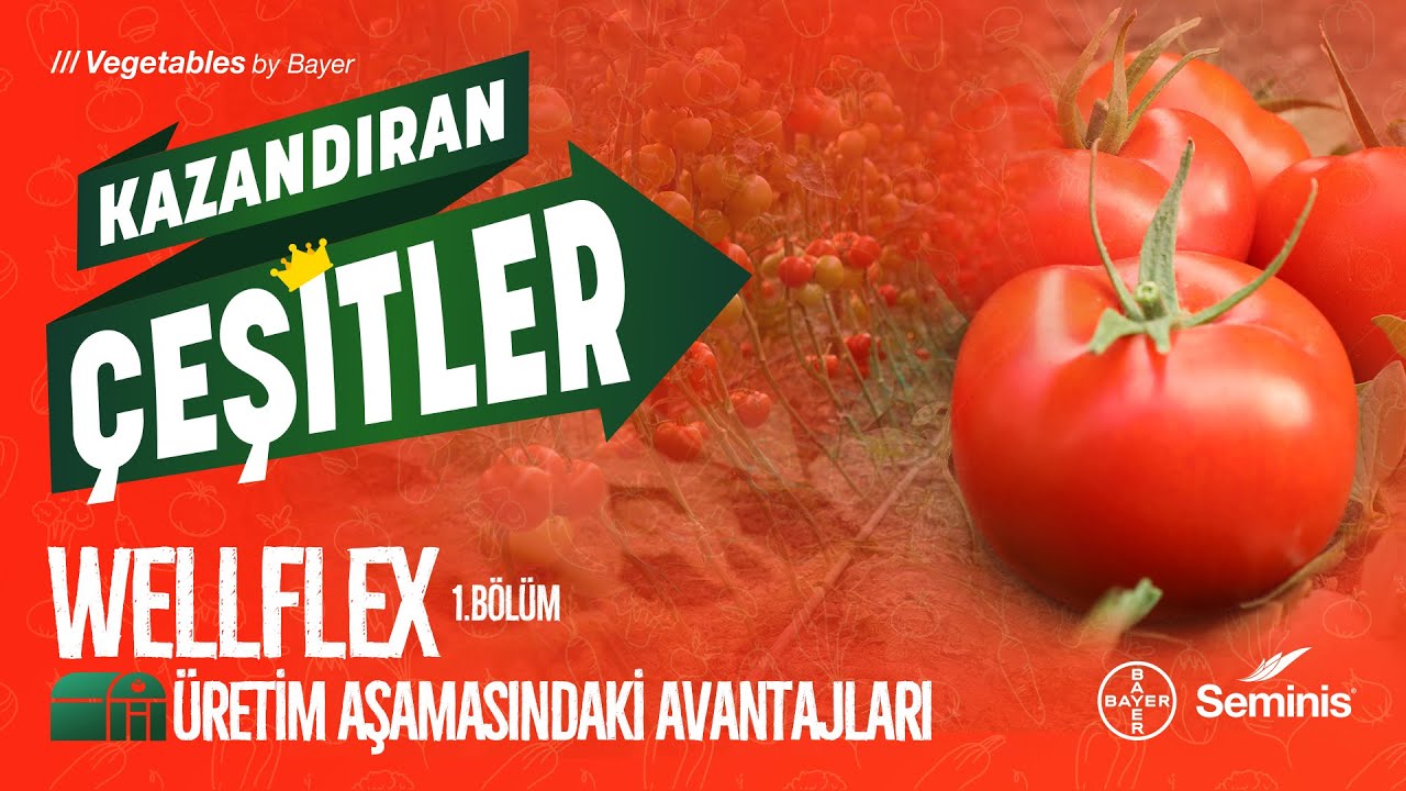 Kazandıran Çeşitler – Wellflex | 1. Bölüm: Üretim Aşamasındaki Avantajları