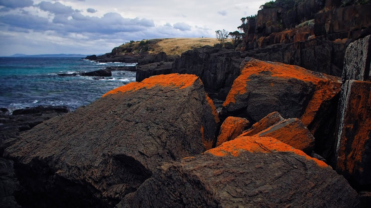 Entire Tasmania in 5 minutes