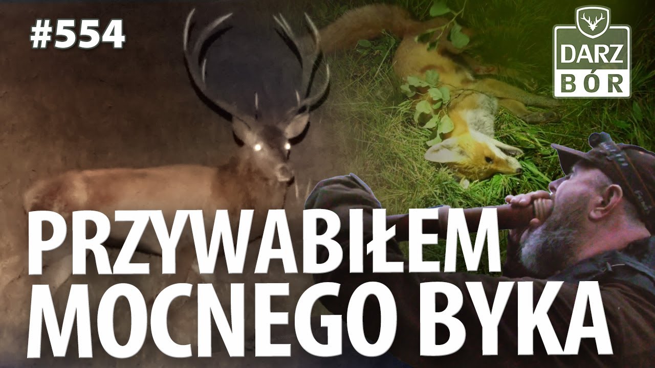 Darz Bór odc 554 Wabimy Jelenie. Nocne Drapieżniki. Emocje w Łowisku.