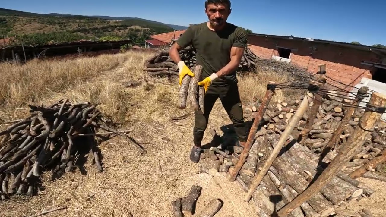 Kışlık odun hazırlığı 2024