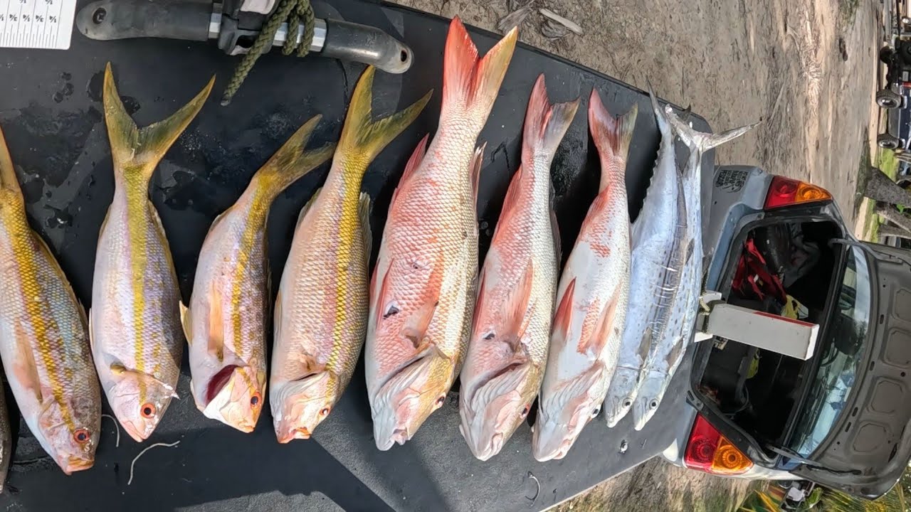 Pescando en Kayak  ( Samas , Colirubias,  sierras ) 