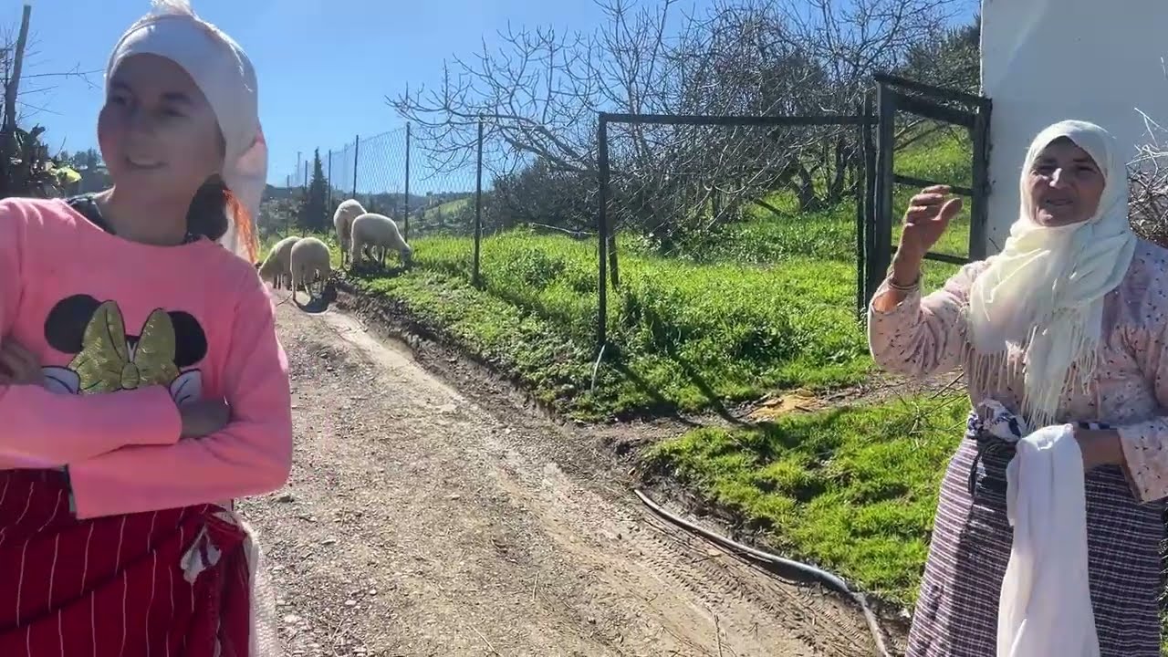 اليوم مشيت نسرح الغلم🐑 مع عزيزا وطيبت فطور صحي 100/100
