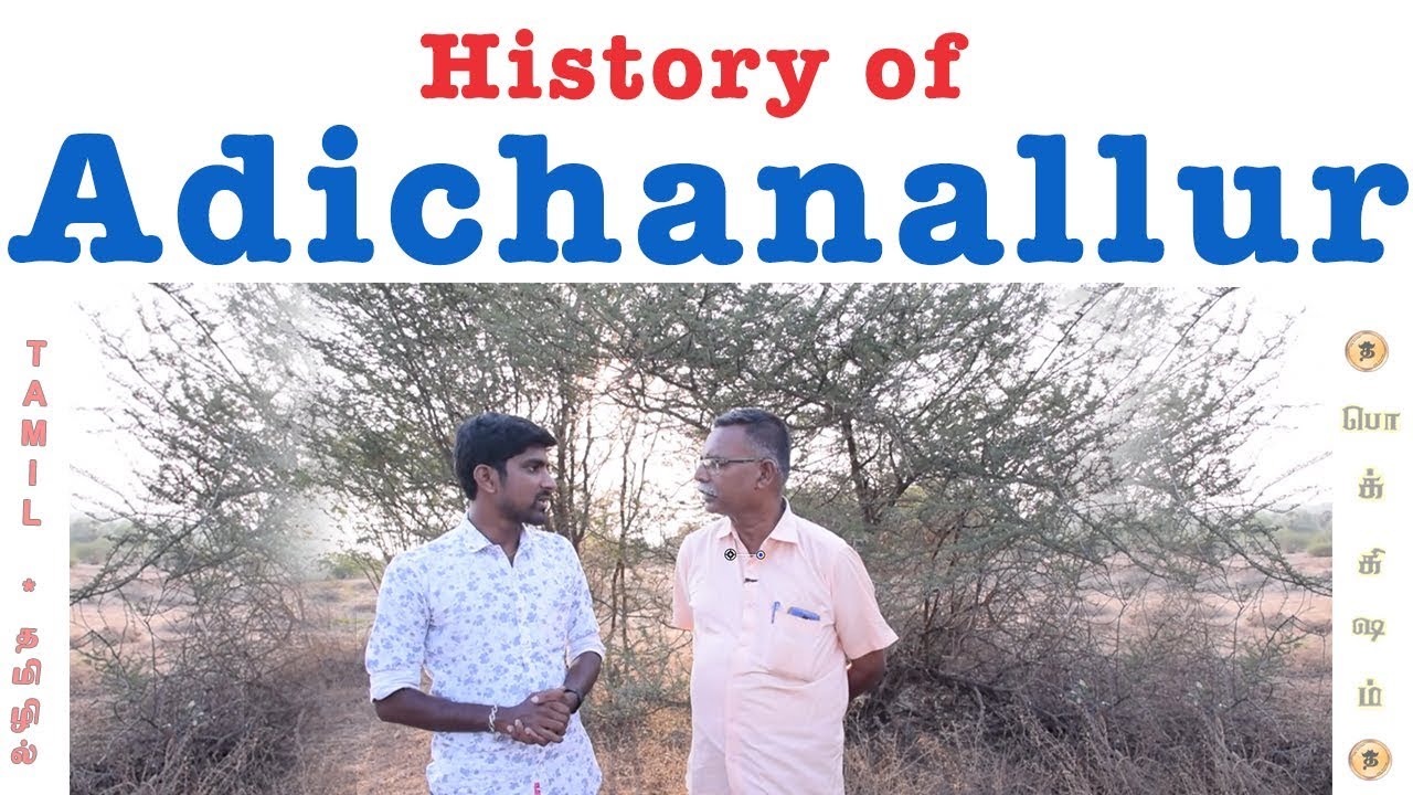 ஆதிச்சநல்லூர்  வழக்கை ஏன் தொடுத்தேன் | History of Adichanallur Excavation | Tamil | Kaamaraasu | TP