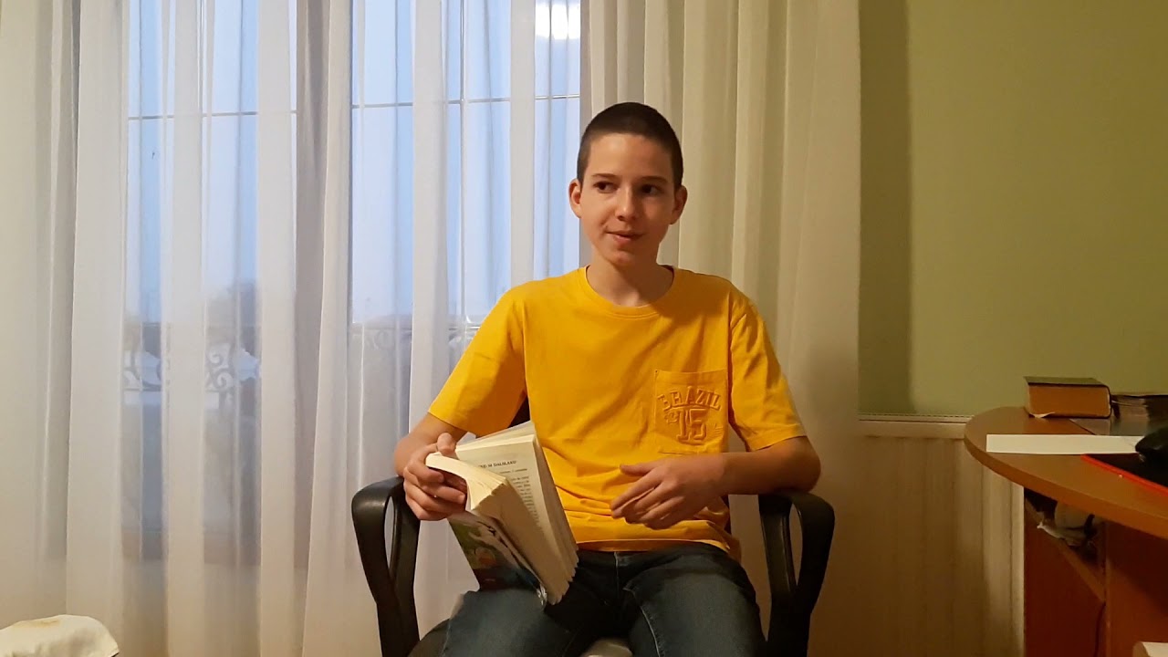 MINUNATA CĂLĂTORIE A LUI NILS HOLGERSSON PRIN SUEDIA (Selma Lagerlof)- rezumat