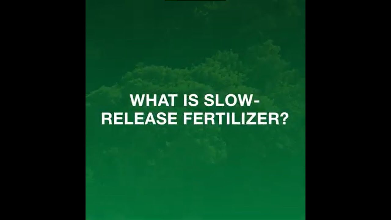 What is Slow-Release Fertilizer?