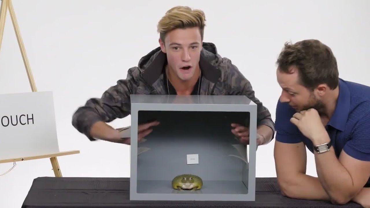 Cameron Dallas Touches a Frog, a Dead Octopus & Other Weird Stuff | Vanity Fair
