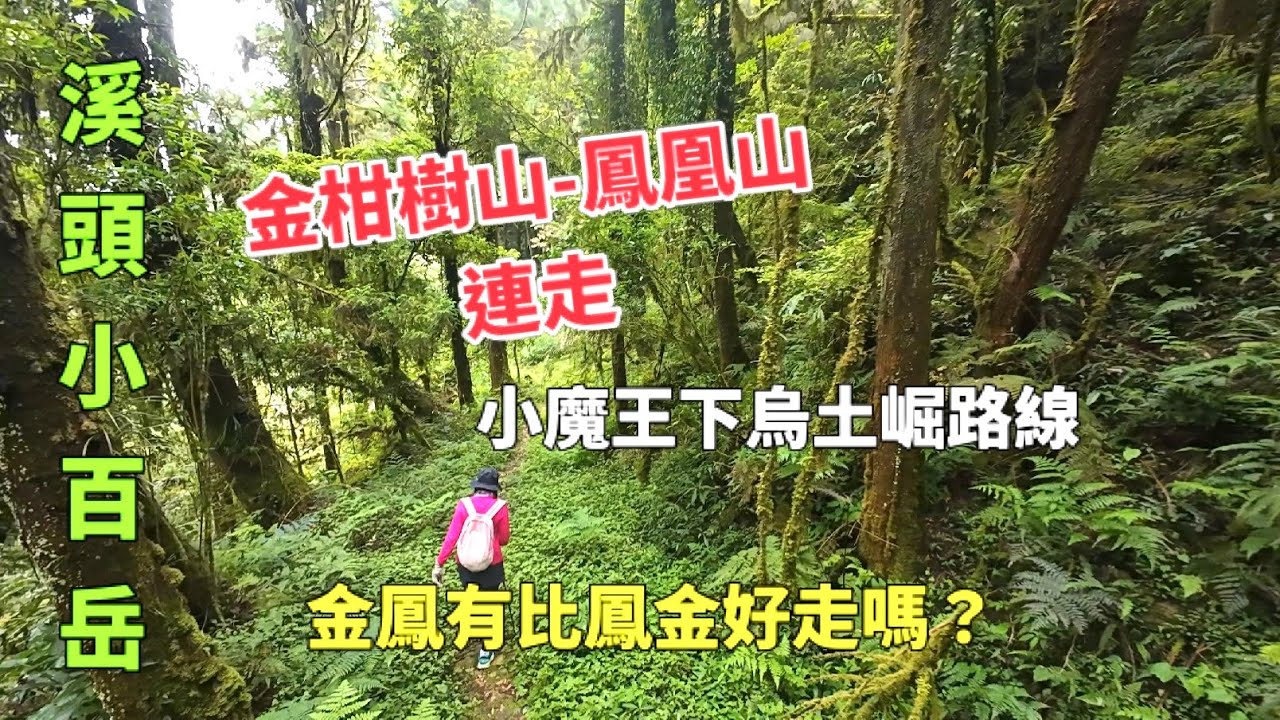 金鳳縱走(金柑樹山鳳凰山連走)台灣小百岳系列