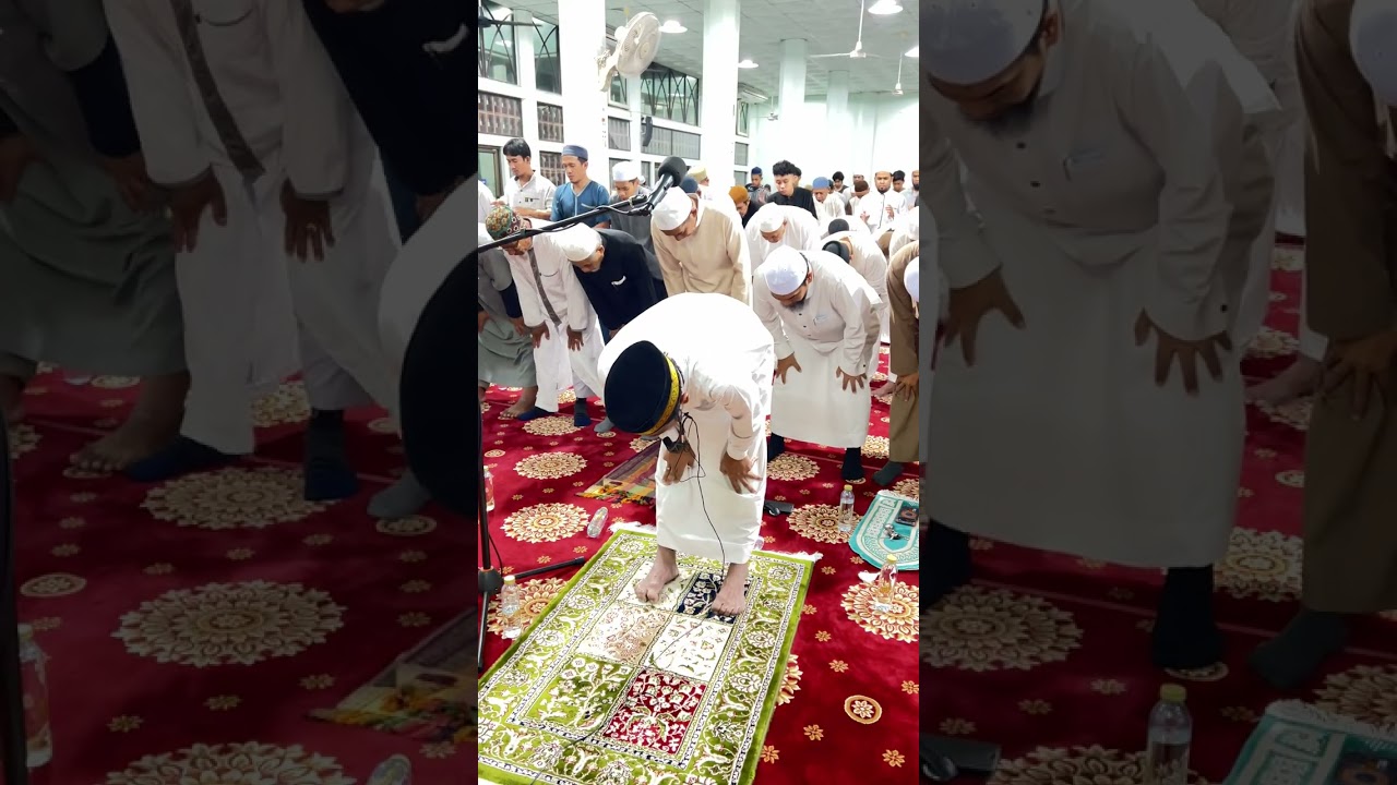 صلاة التراويح 