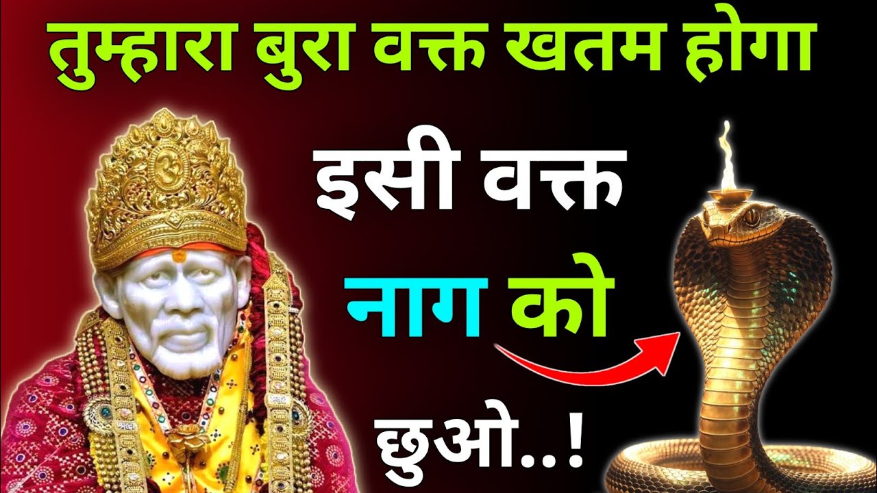 तुम्हारा बुरा वक्त खतम होगा इसी वक्त नाग को छुओ |Sai Updesh |Sai Vichar |Sai Gyan|Sai Vani 