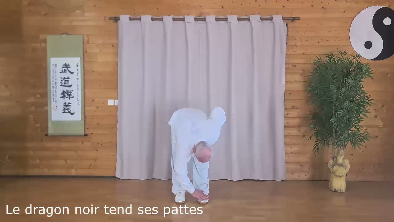 Qi Gong du Yi Yin Jing - démonstration complète par Thierry Alibert