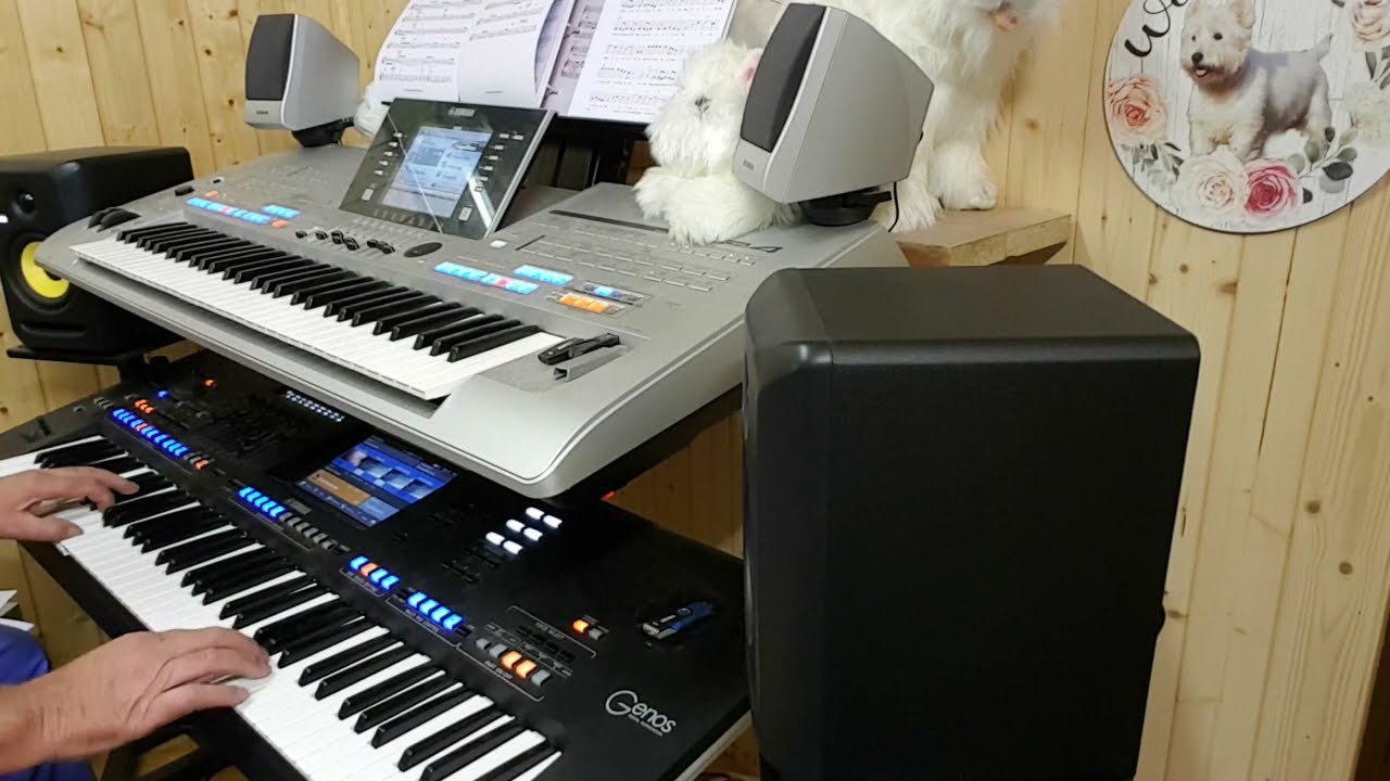 Engelbewaarder  [Genos]