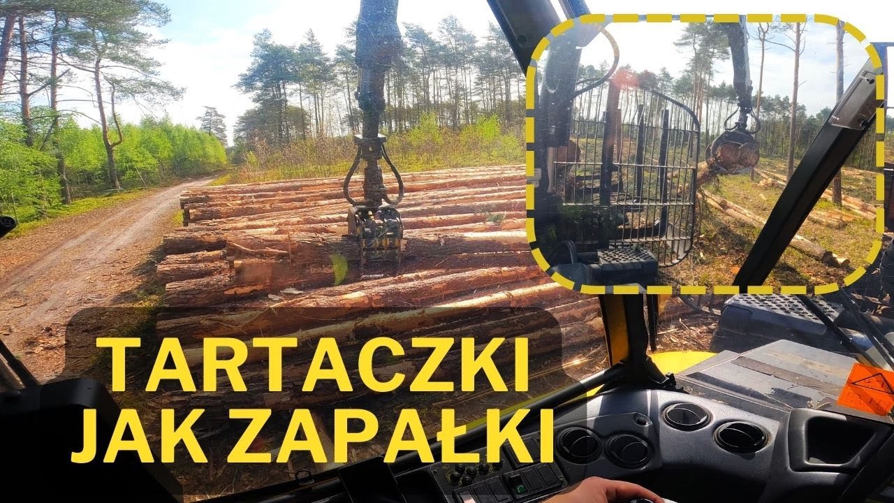 ZRYWAMY TARTACZKE🌲PONSSE BUFFALO🌲PRACA W LESIE