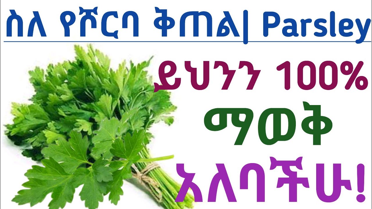 የፓርስሌ| በግዶኒስ| የሾርባ ቅጠል አስደናቂ የጤና ጥቅሞች| Health benefits of parsley | parsley juice | parsley