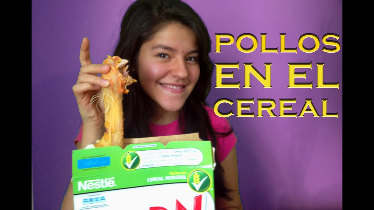Pollos muertos en el cereal | LOS POLINESIOS BROMAS PLATICA POLINESIA