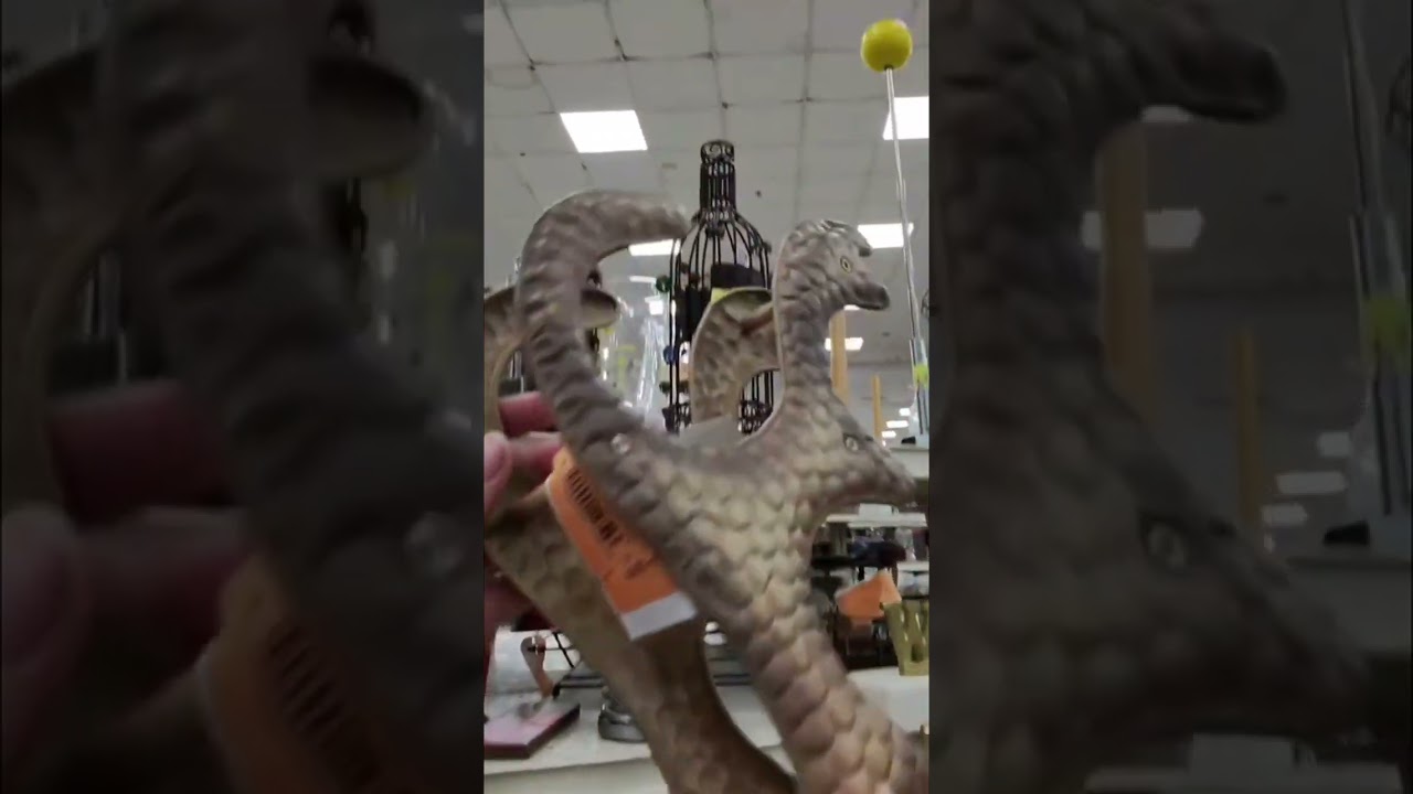Thrift Store Finds: Weirdest & Coolest Stuff You Won't Believe!