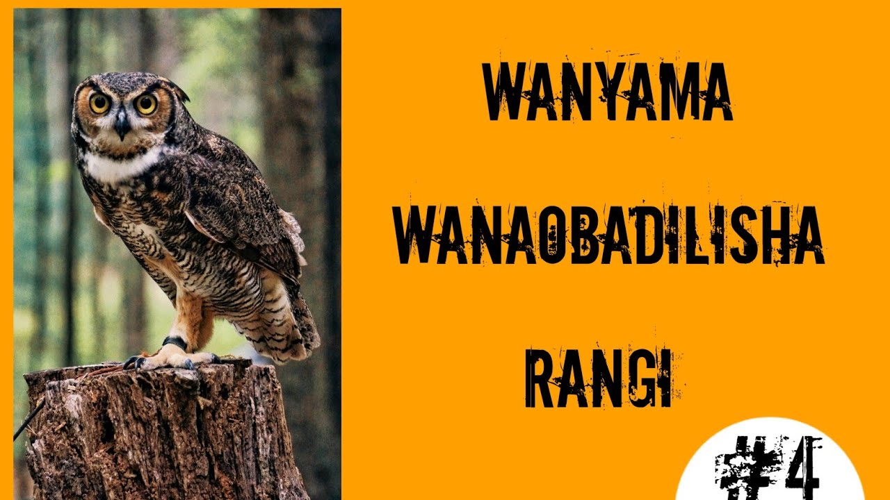 WANYAMA WANAOBADILISHA RANGI KULINGANA NA MAZINGIRA | BUNDI| #Mtigaabdallah