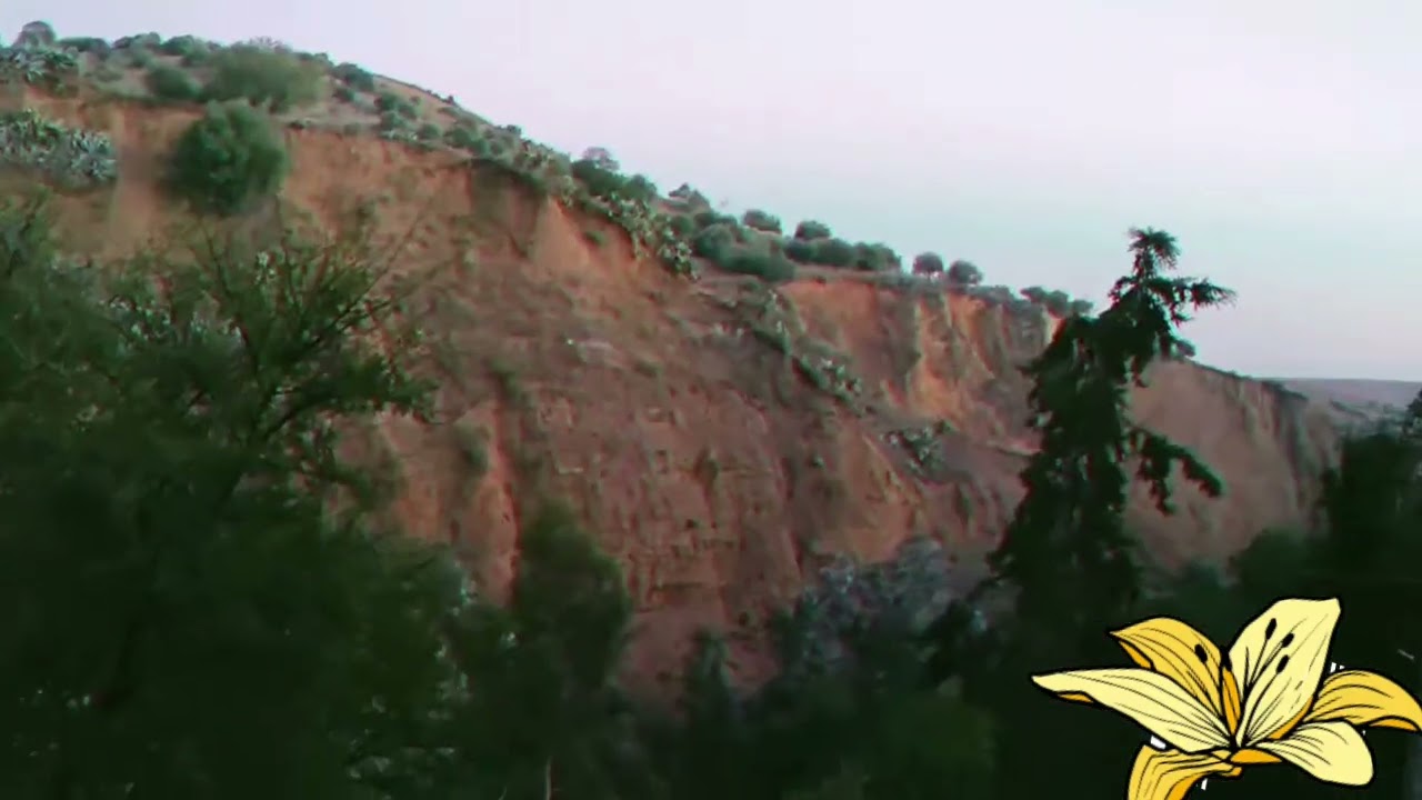 عندما يلتقي هدوء مكان مع سحر طبيعة 👍👎🛎🌄🏞🌅