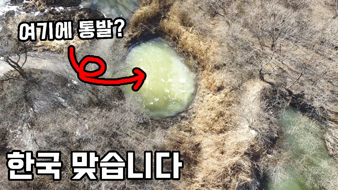 아무도 몰랐던 한국의 습지, 전 세계에 몇 없는 곳에 통발을 넣어봤습니다..
