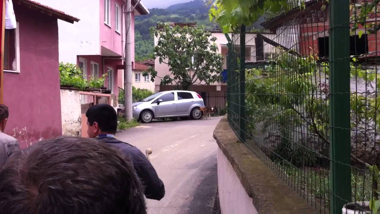 Bursa Doğancı Köy Düğünü Gelin Alma 2