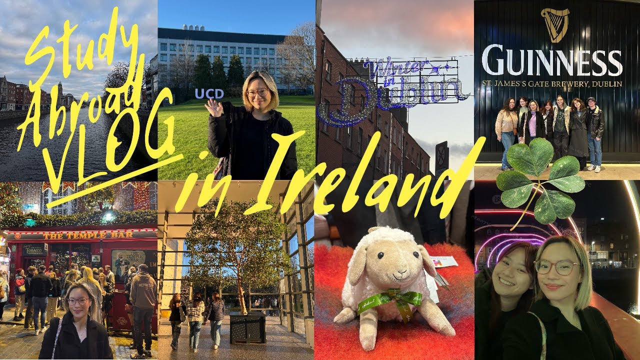 First week in University College Dublin 🍀🇮🇪🍀