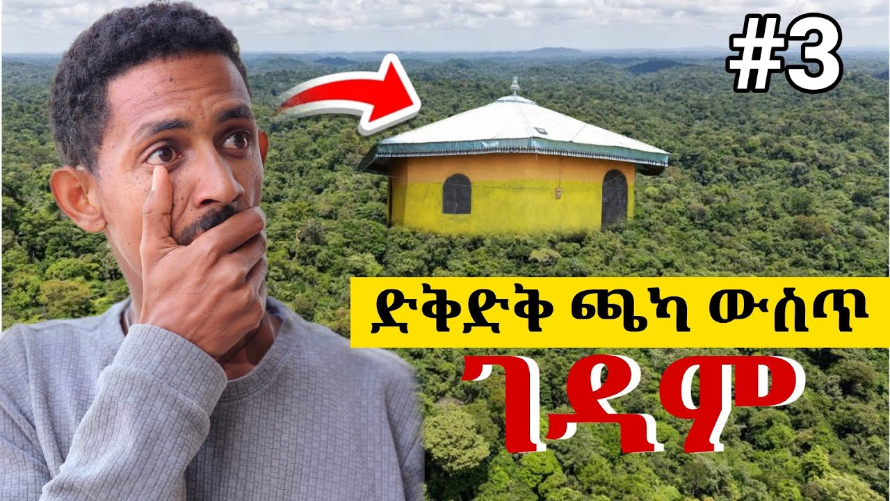 በደን የተከበበው ገዳም