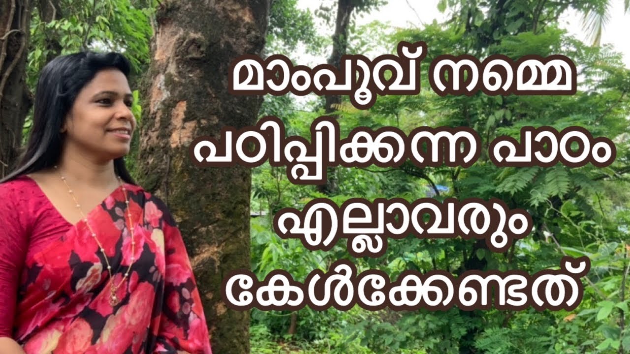 മക്കൾ വഴിതെറ്റുന്നതിന്റെ ആരംഭം എവിടെ നിന്ന് //Gigi Mario