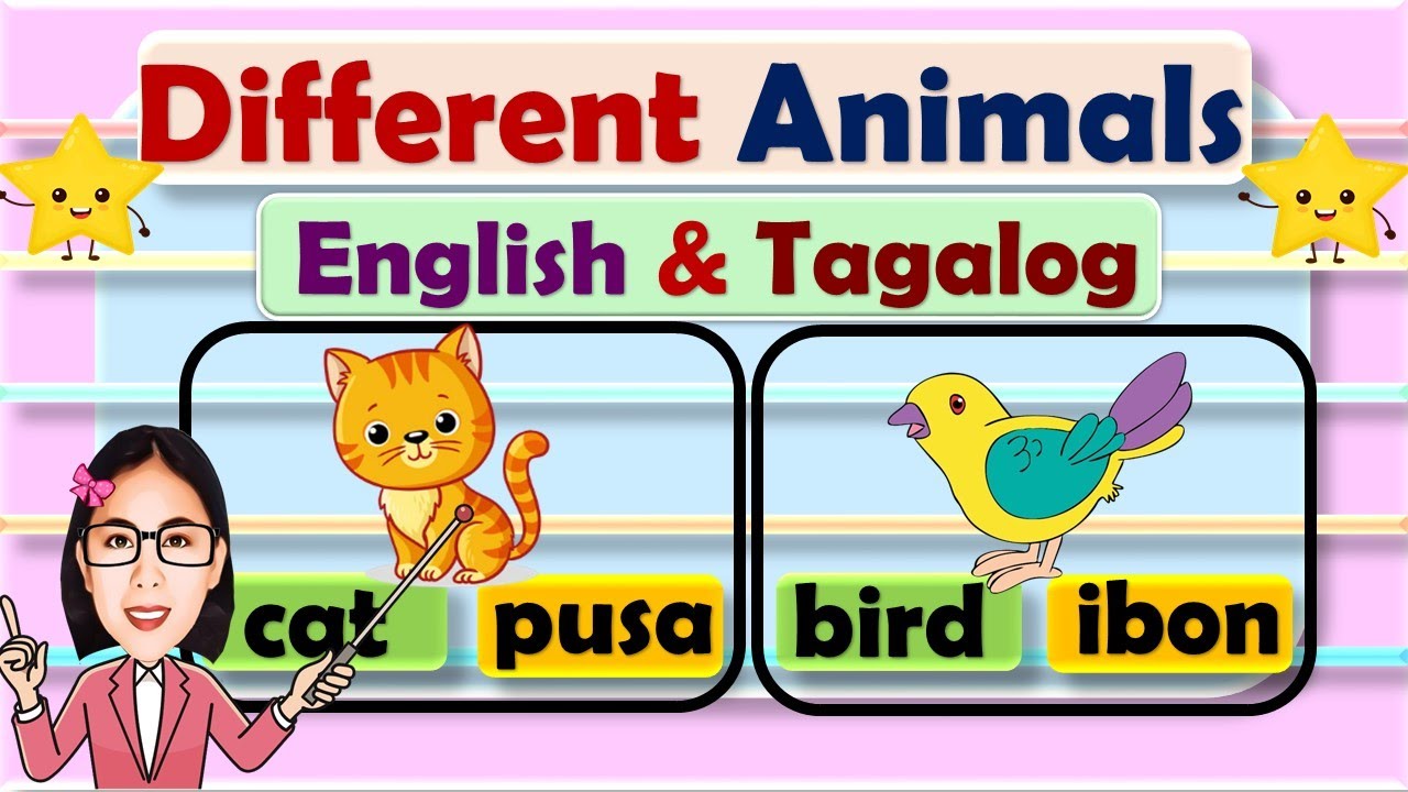 Different animals English and Tagalog Part 2 | Videos of different animals