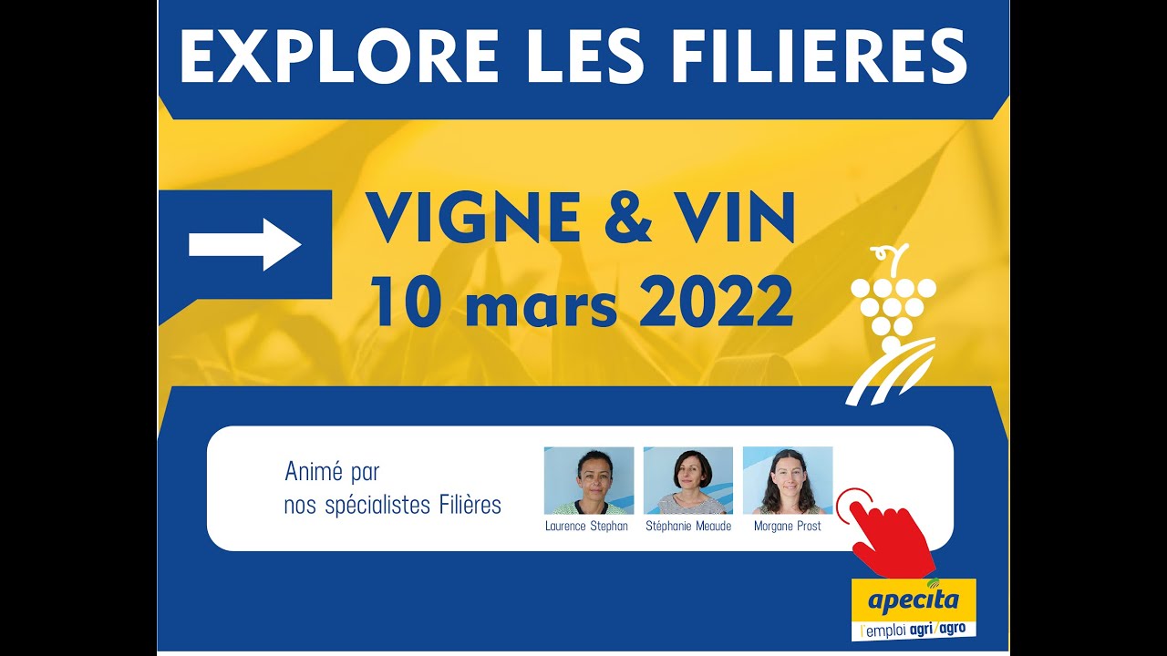 Explore la filière Vigne & Vin - 10 mars 20022