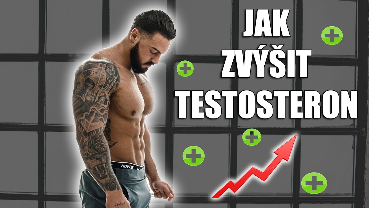 JAK ZVÝŠIT TESTOSTERON NATURÁLNĚ