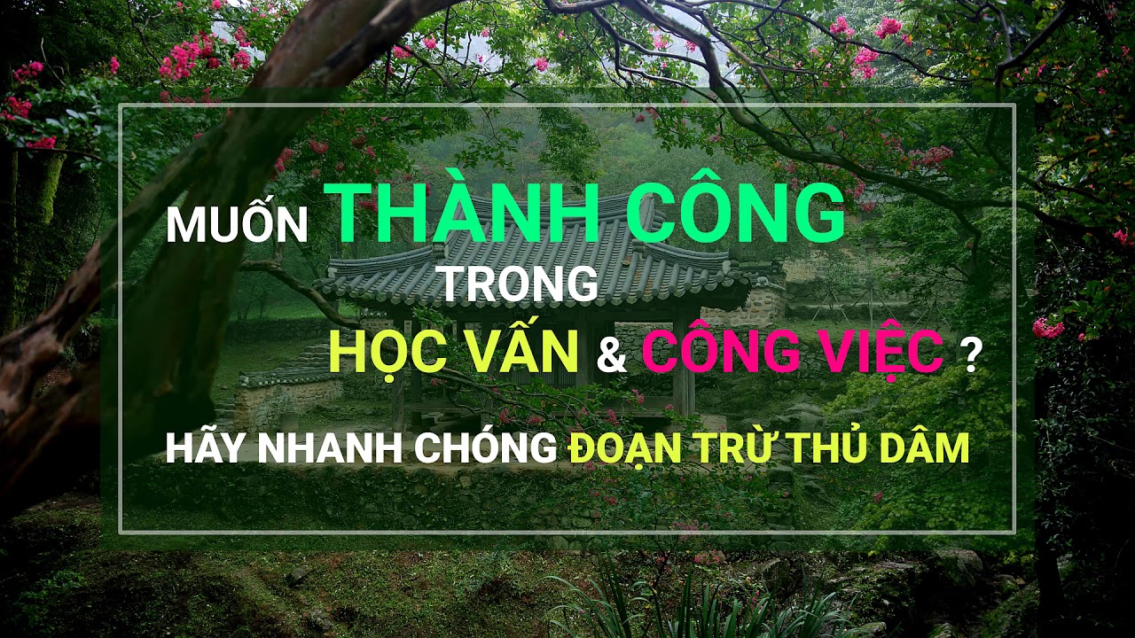 Muốn thành công trong học vấn và công việc? Hãy nhanh chóng đoạn trừ thủ dâm