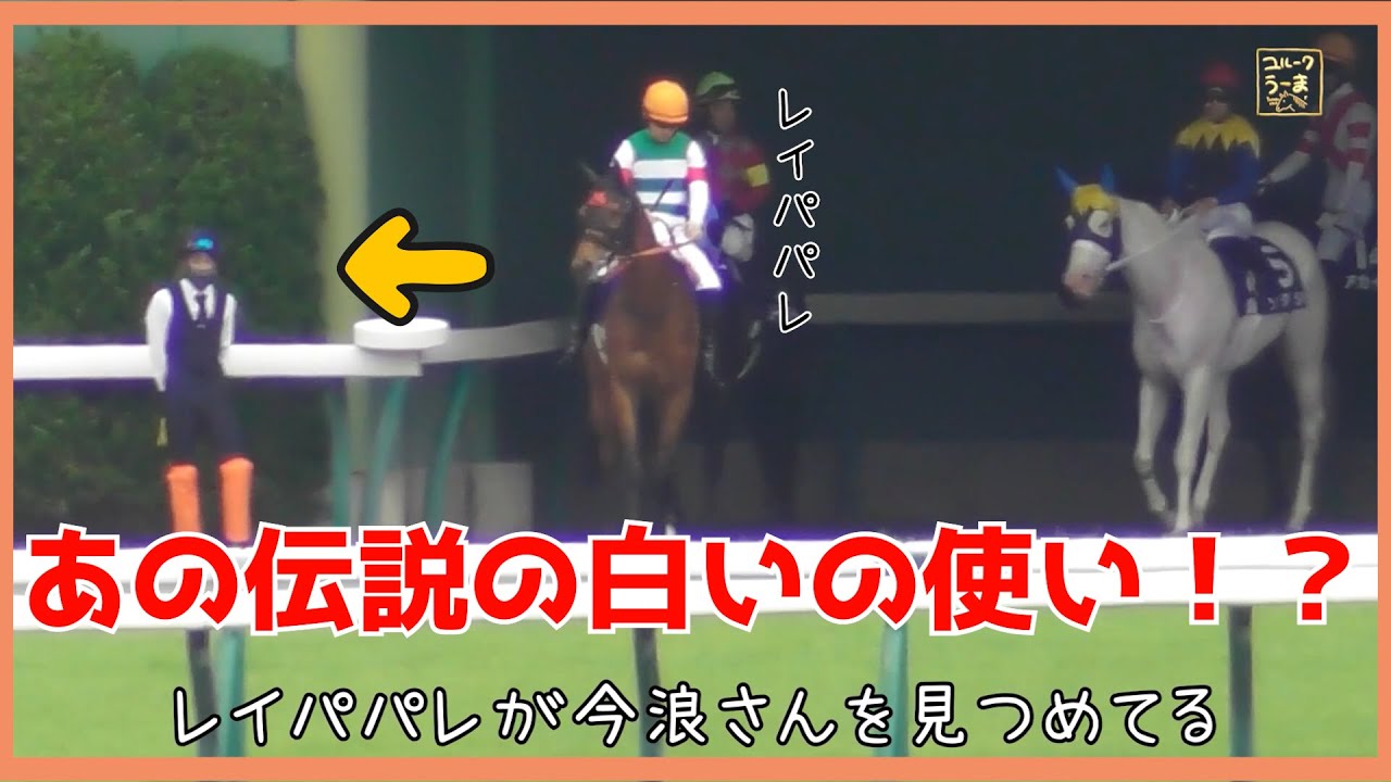 伝説の白いの使い【今浪さんを見つめるレイパパレ】そしてソダシは・・・