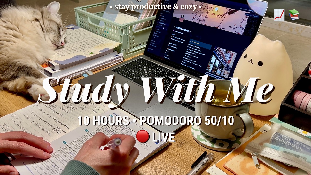 10 HR • STUDY WITH ME | Pomodoro 50/10 | Fireplace Sound 🔥