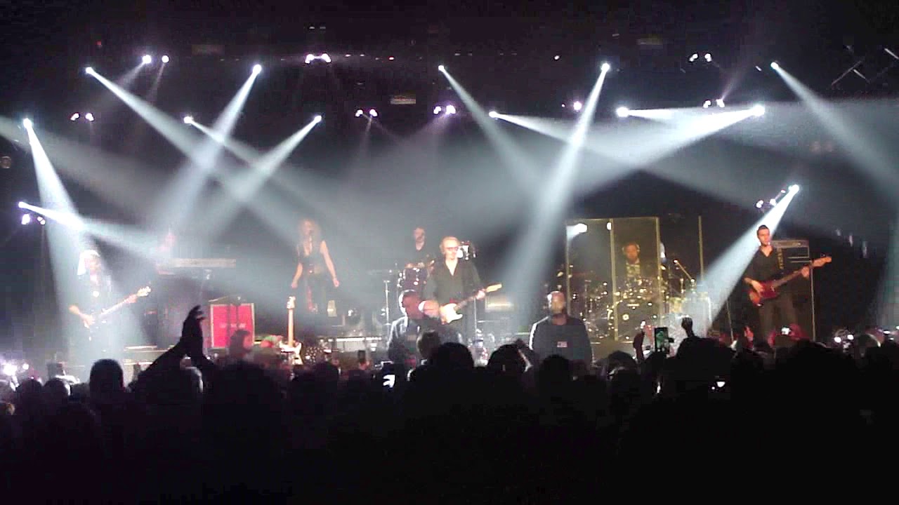 Umberto Tozzi - Stella stai / My Sharona / Un corpo e un'anima (live @ Louvexpo)