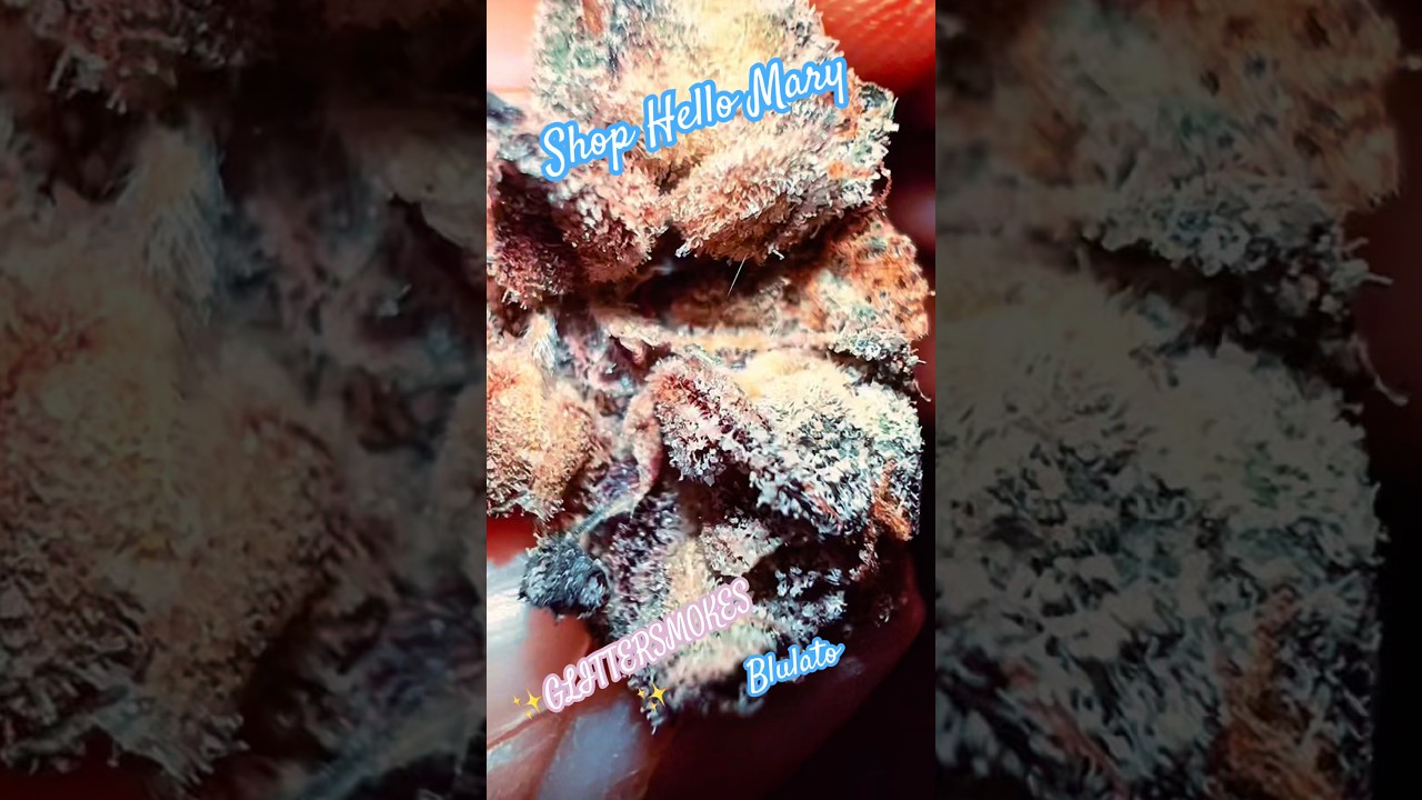 Blulato #shophellomary #review #freethatplant #subscribe #420community #shm #cannabiscommunity