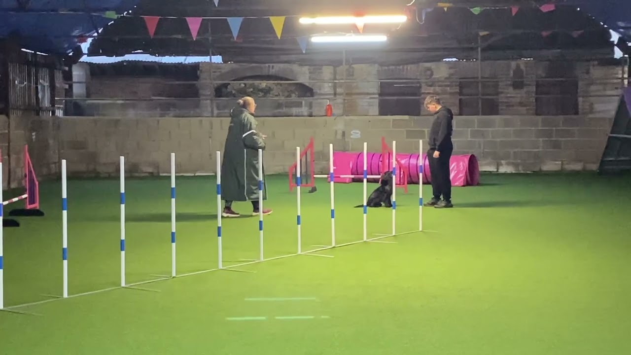 Declan and bomber training February 2026