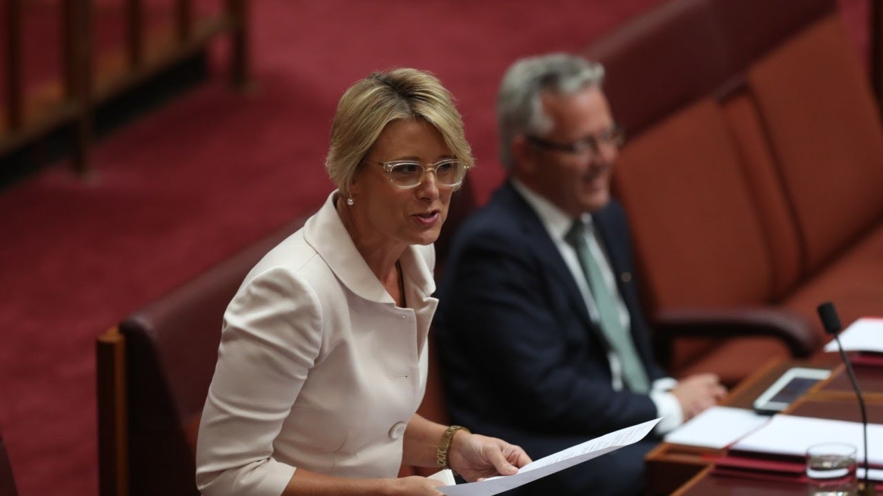Kristina Keneally being 'parachuted' into the seat of Fowler