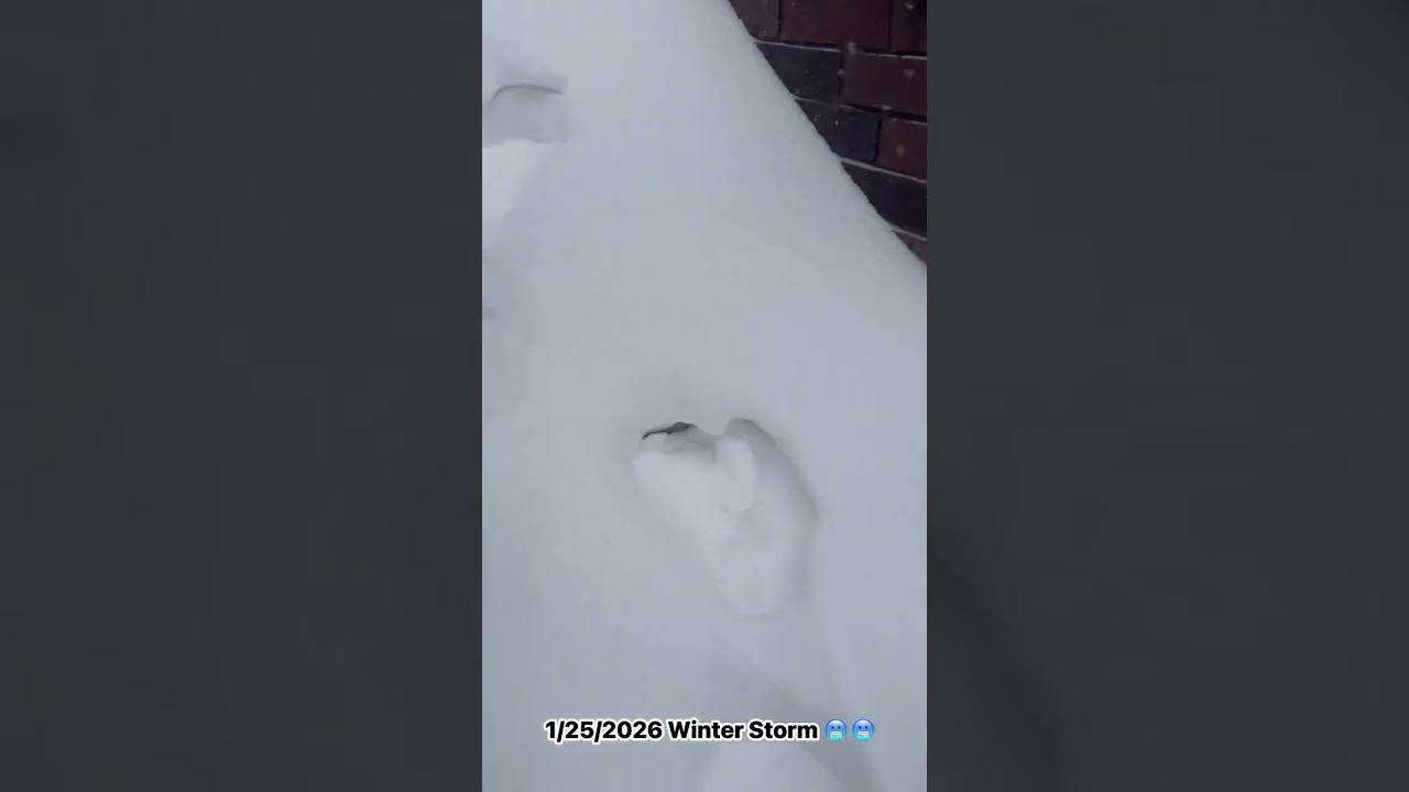 #winterstorm2026 #fypシ゚viral #shortvideos #winter