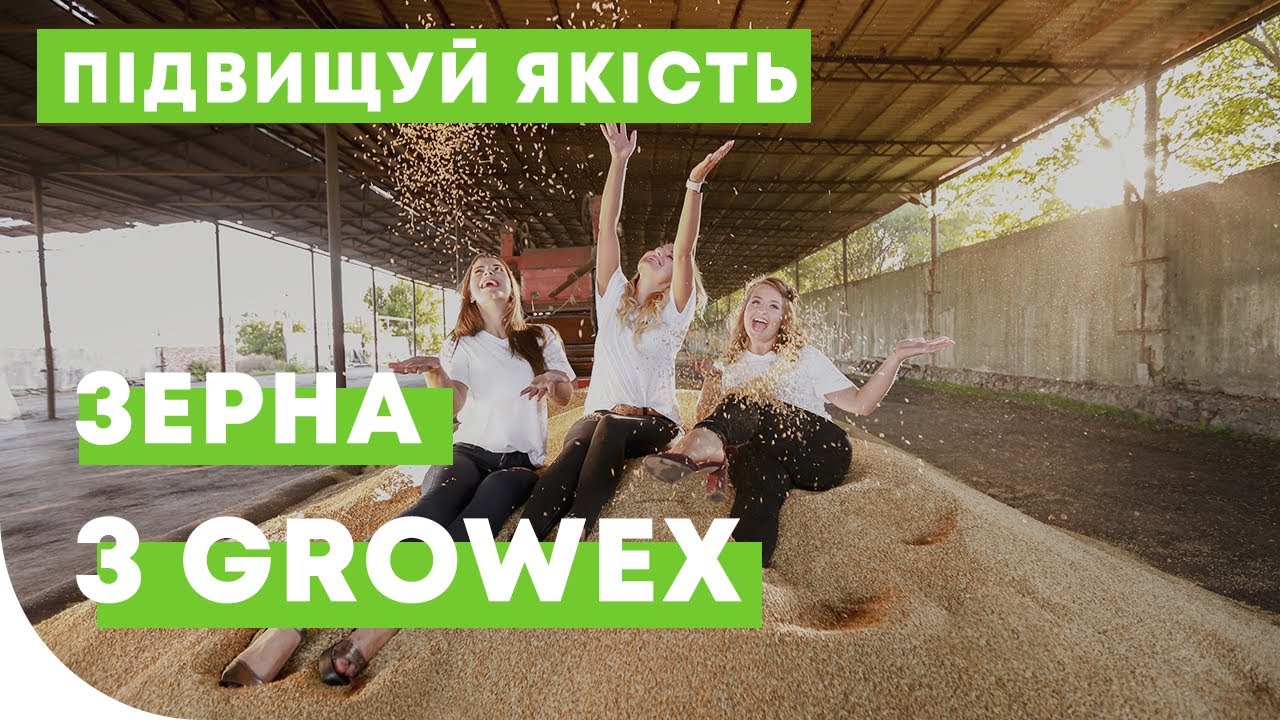 Як збільшити класність зерна?