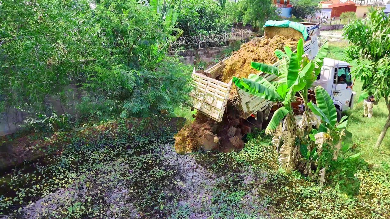 First Start New Opening Project!5T Dump Truck Filling Land Delete Pond, Bulldozer Pushing Perfectly