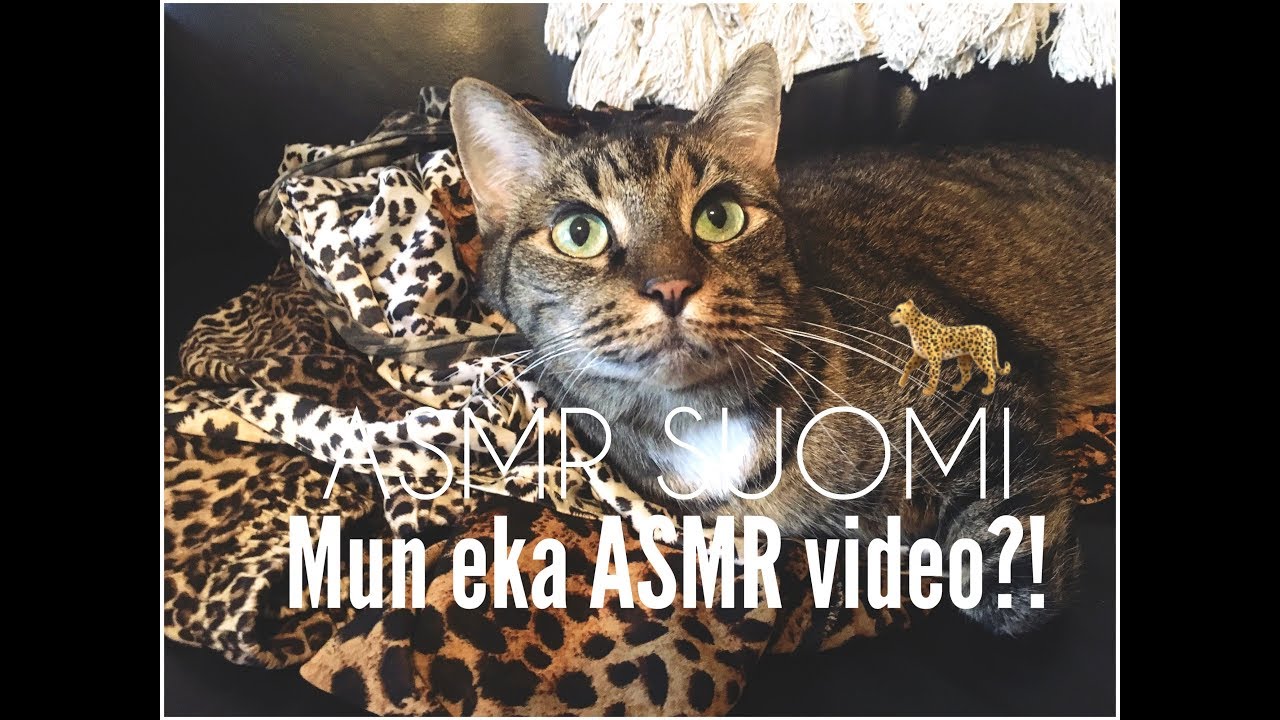 Leopardi triggereitä 🐆 ✨ASMR ✨