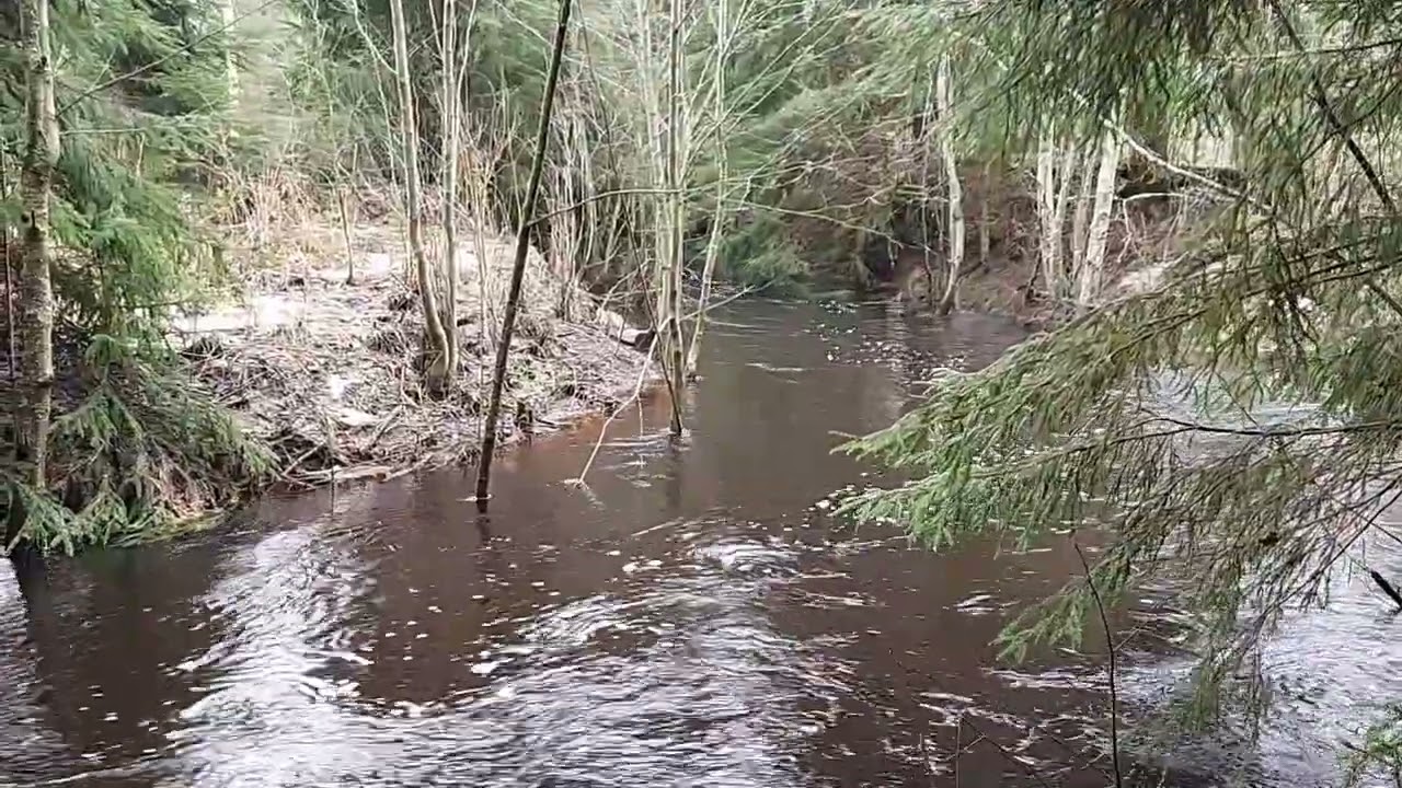 The sounds of Sonnilanjoki